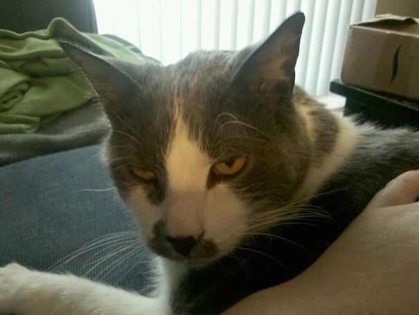 Get Your Filthy Hand Off Me Or You Will Pull Back A Nub...