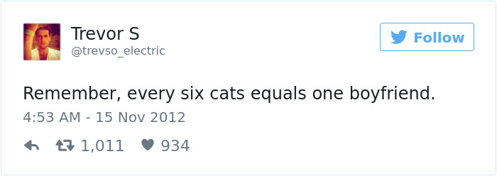 Hilarious tweet about dating, comparing cats to boyfriends.