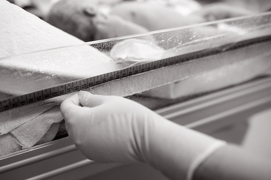 The New World - A Person Was Born