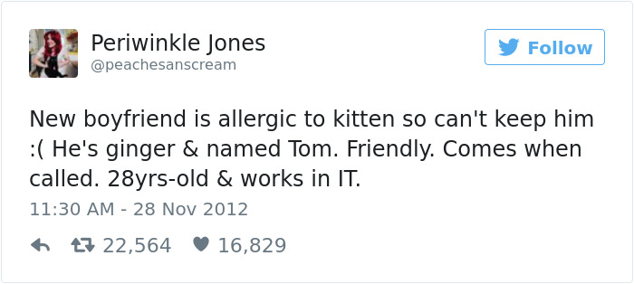 Tweet about dating humor: "New boyfriend is allergic to kitten, can't keep him. He's ginger, 28, named Tom, friendly, works in IT."