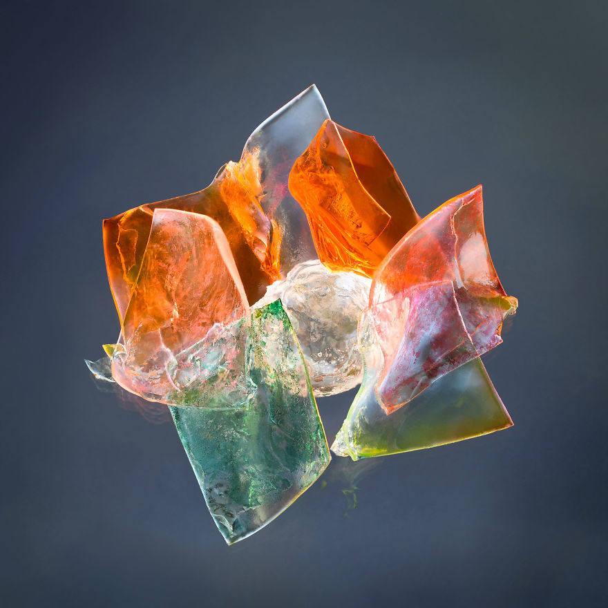 Elzbieta Kurowska, Canada (Open Competition, Nature)