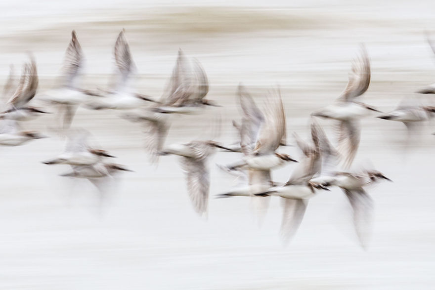 Mariusz Stanosz, Poland (Open Competition, Motion)