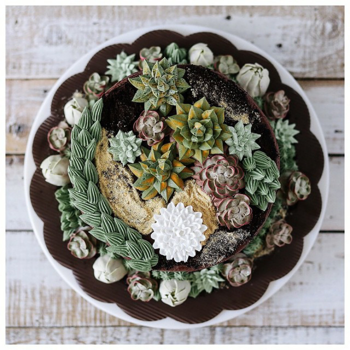 Succulent Cakes