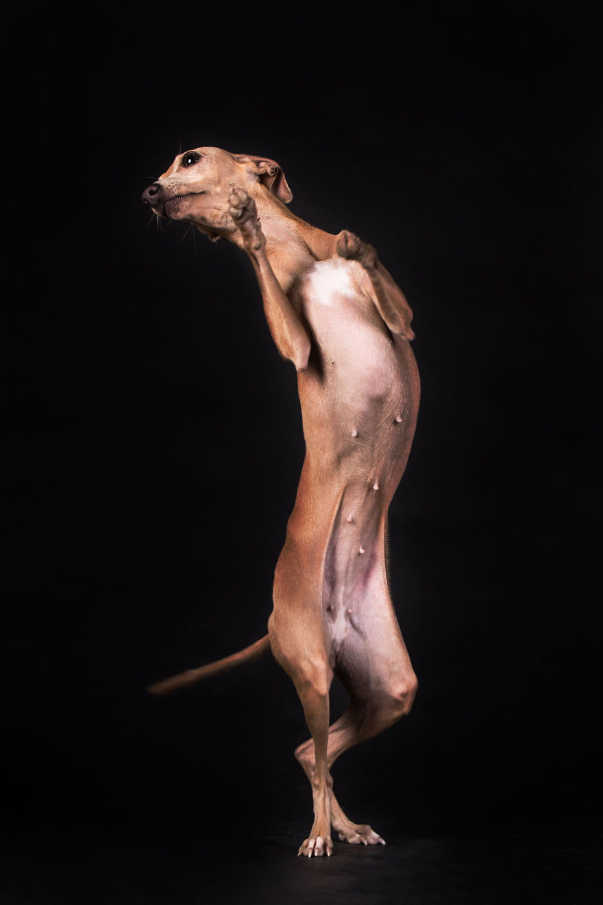 Luigi Panico, Italia (Open Competition, Motion)