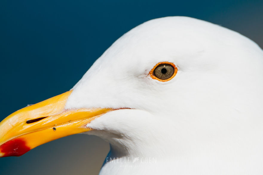 Scray Or Beautiful And Natural And