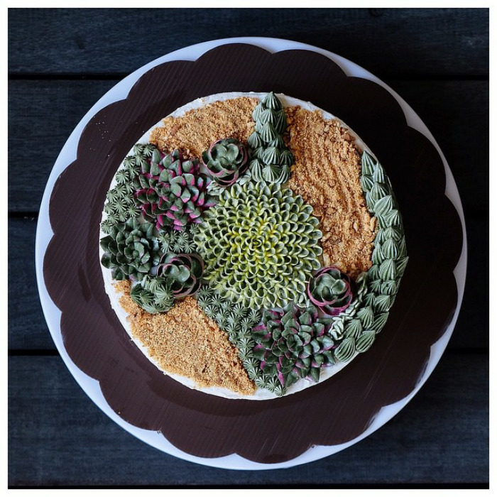 Succulent Cakes