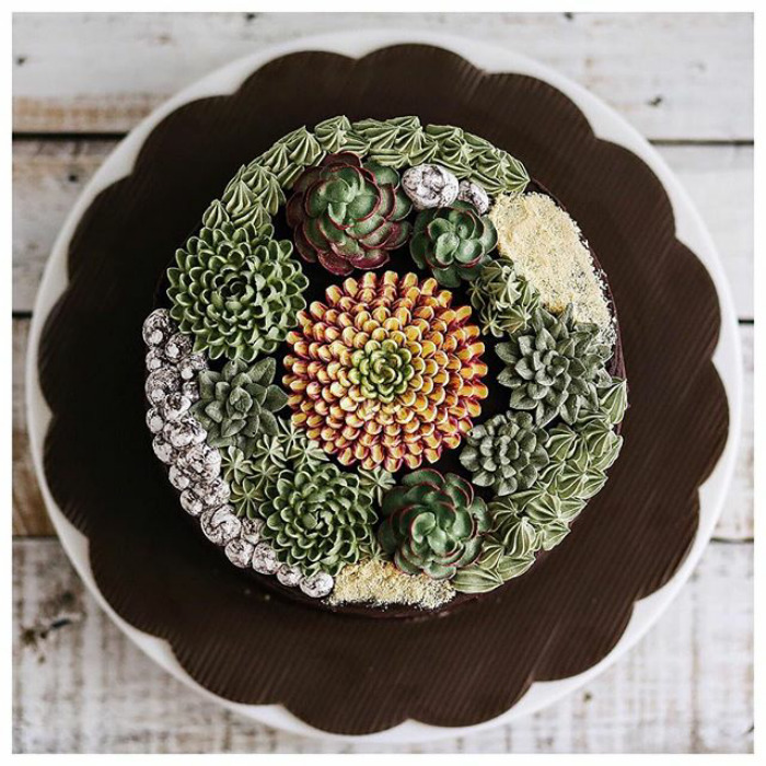 Succulent Cakes