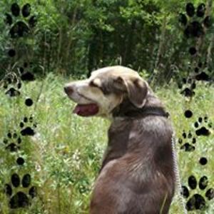 schlosser_kevin avatar