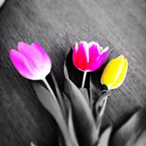 charlottephillips_1 avatar