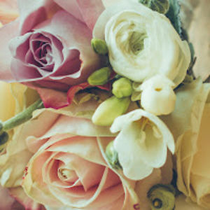 floralpandabear avatar