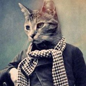 ana_pombo_dias avatar