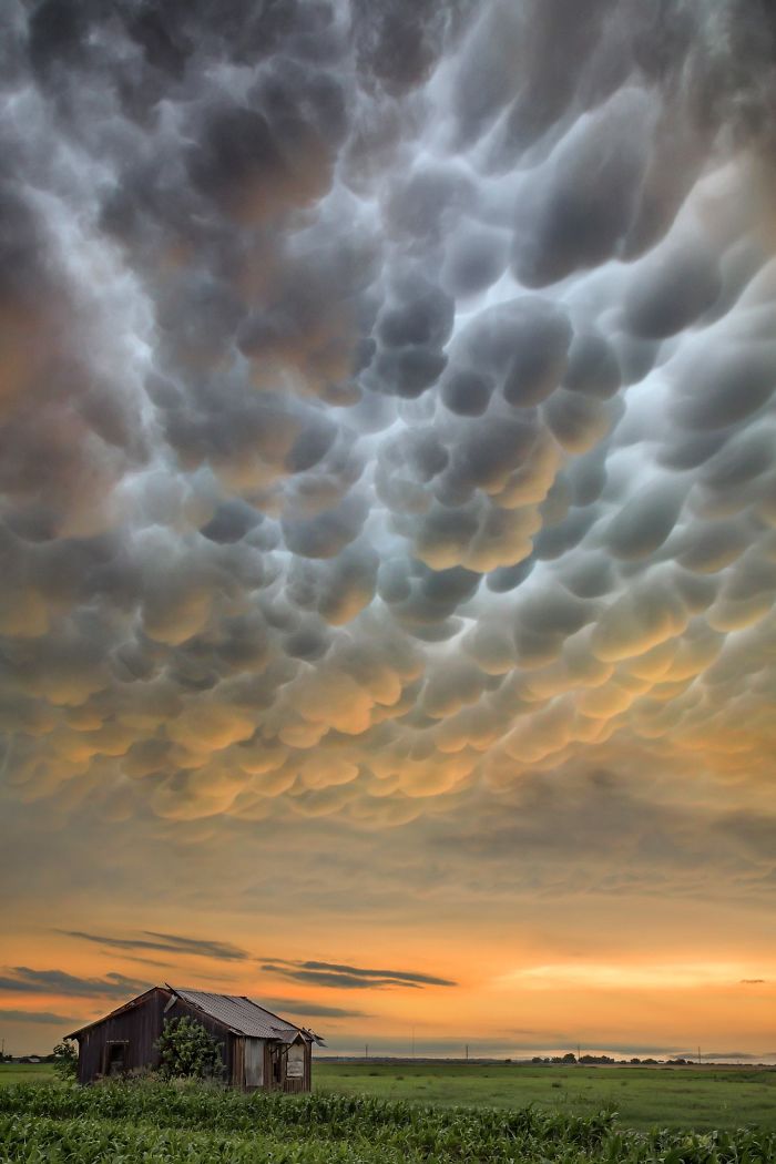 Mammatus Clouds