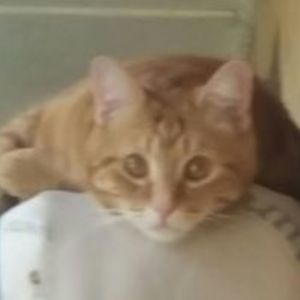 rachellerachelle_b avatar