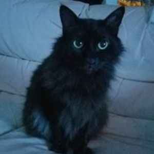 stormchaser_69 avatar