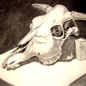 ziramichelleloveofthedark avatar