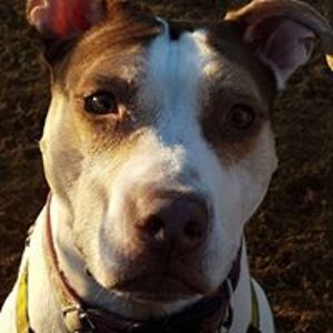 marta_kurpinska avatar