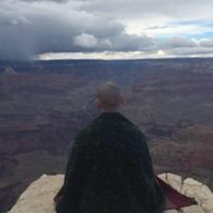 jeremyemitchell avatar