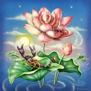 anneroselintylarosek avatar