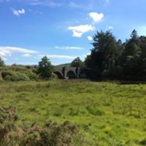 roshanak_kaheh avatar