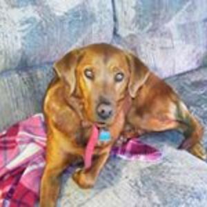 dragon_lady_55 avatar