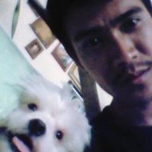 balatayorofel avatar