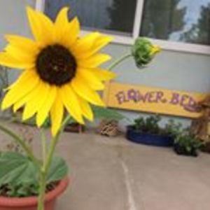 amazinggracechainsawart avatar