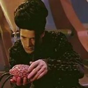 majovittamaja avatar