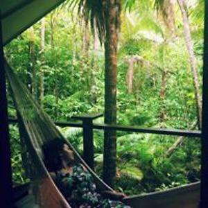 andra_magerusan avatar