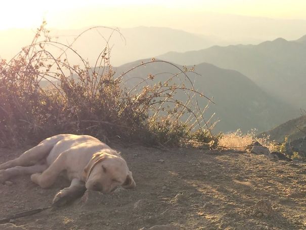 Took Him On His First Hike