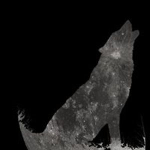 rogerio_filipe avatar