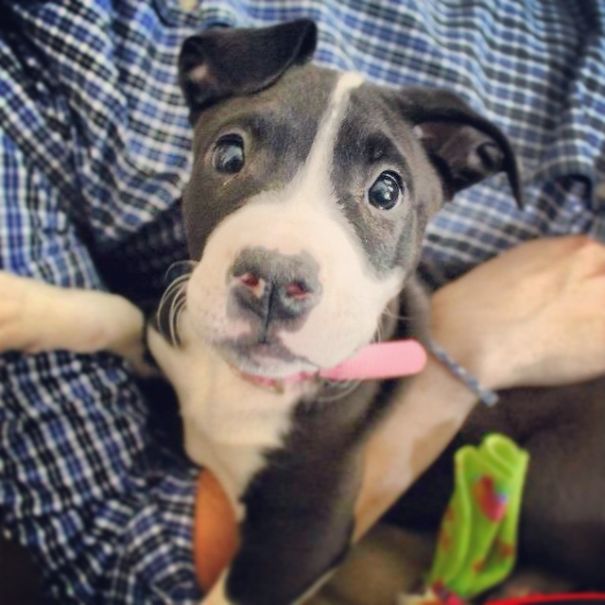 First Time Seeing A Camera