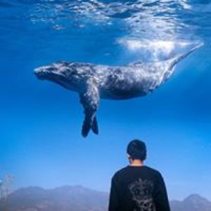 mahardicka_mahardicka avatar