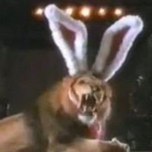 emtfrank69100 avatar