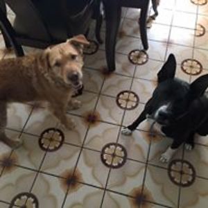 erinfonvergne avatar