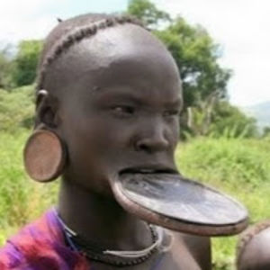 laqueefstajohnston avatar