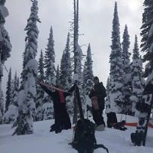 caroline_gagne avatar