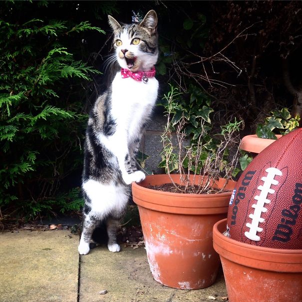 Lula Ventured Out Into The Garden For The First Time Today. I Think She Was A Little Shocked How Big Outside Is