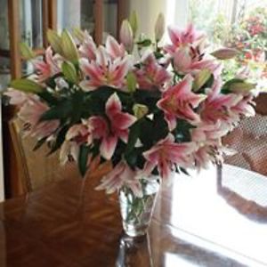 denise_taylor129 avatar