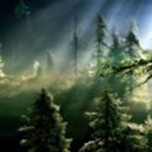 dreamincaribbean avatar