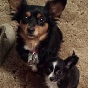 joe_proctor83 avatar