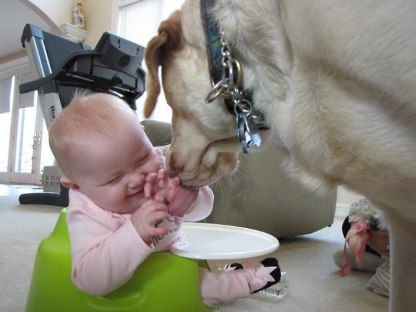 My Niece And My Pup Meeting For The First Time