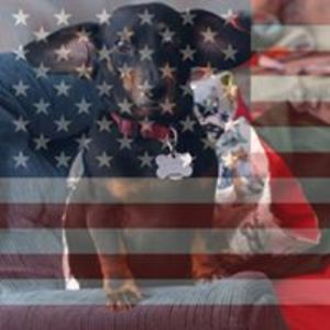 kimberlee_sheltonmiller avatar