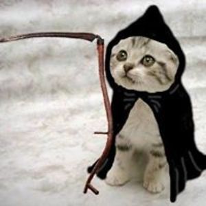 ilva_minajeva avatar