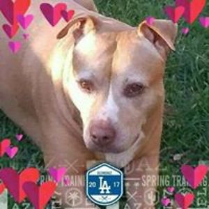 debbipeanut23 avatar