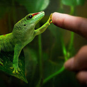 annaruzhynsky avatar