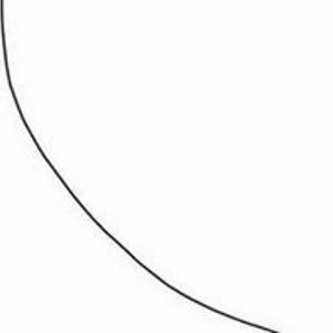 horse_lover5264 avatar