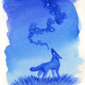 fluoritewolfwolfy avatar