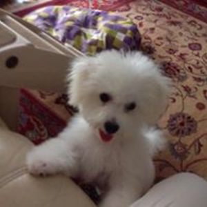 lindcowdal5555 avatar