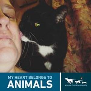 broken_down_amazed avatar