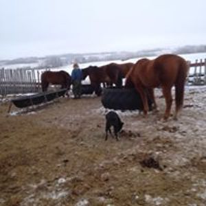 victor_chudyk avatar